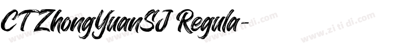 CTZhongYuanSJ Regula字体转换